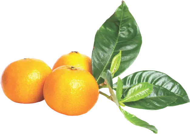 Compras fruta